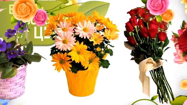 Акция "Время свободное от цен!" смотреть онлайн