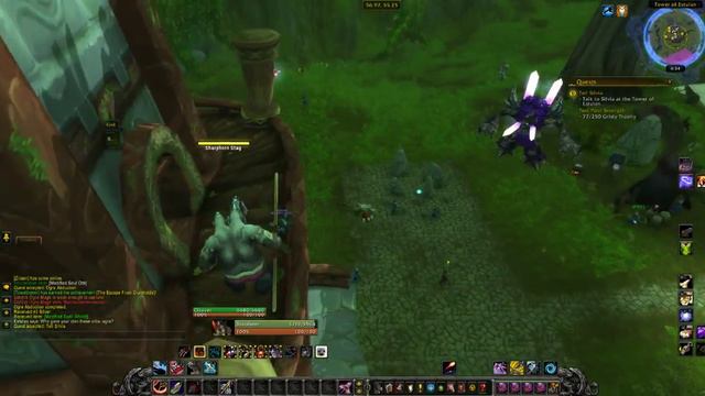 Tell Silvia (Донесение для Сильвии)