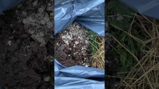 Перегной в мешках, есть куда деть птичий помёт, делаю хорошее удобрения, для растений вкусно смотреть онлайн