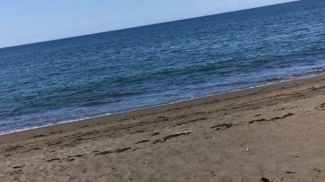 Vlog наше море 🌊 удивительные находки смотреть онлайн