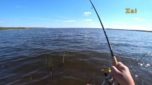 Тест ТРЕВЕЛ спиннинга. Щучье ЭЛЬДОРАДО.