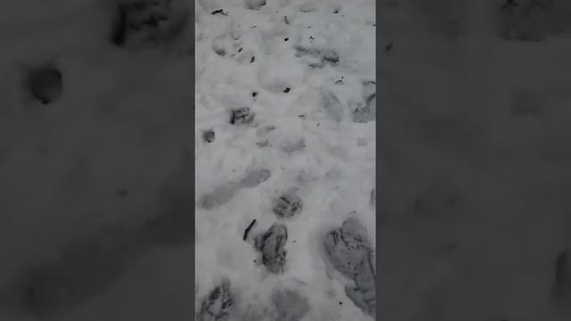 Что делать когда на улице зимой скучно смотреть онлайн