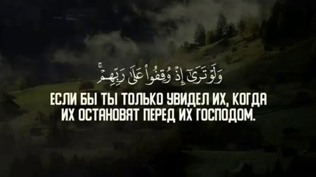 СУРА АЛЬ-АН'АМ, АЯТЫ 29-30 смотреть онлайн