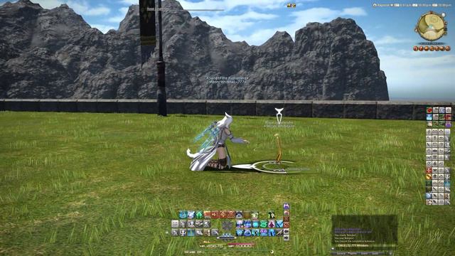 FFXIV: Royal Lunatender Minion - 6.05 смотреть онлайн
