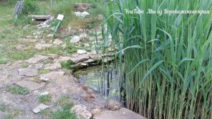 Ботанический сад Воронеж/Прогулка по саду/20 мая 2023г