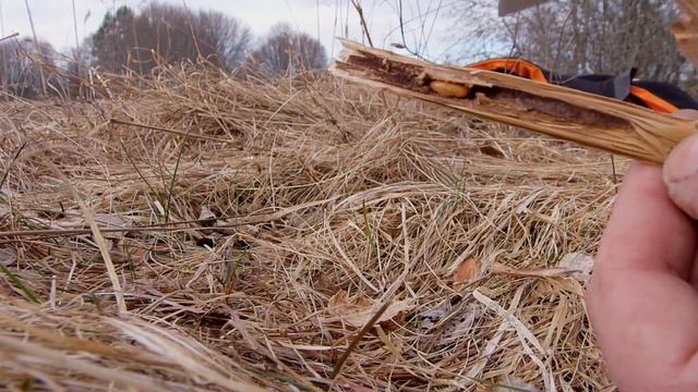 Рыбалка на Стенде! смотреть онлайн