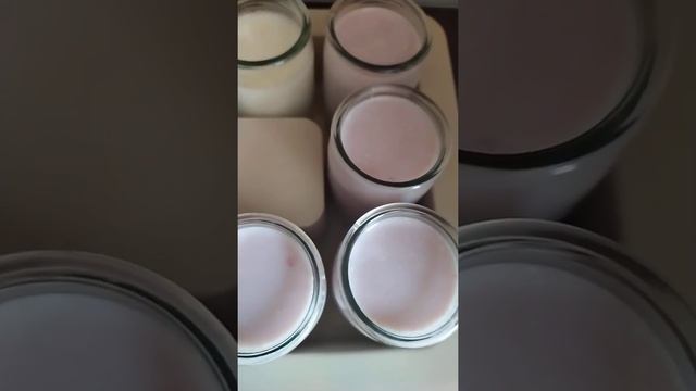 ДОМАШНИЙ ЙОГУРТ с сиропом из ягод жимолости смотреть онлайн