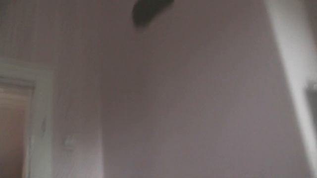 Забилась груба, нет тяги, дым валит в хату. Что делать? Чистка грубы. Коротко о главном! смотреть онлайн