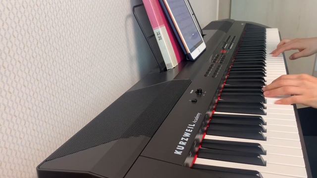 장범준-흔들리는 꽃들 속에서 네 샴푸향이 느껴진거야(드라마-멜로가체질OST)_피아노연주/커즈와일KA90/초보연주자 смотреть онлайн