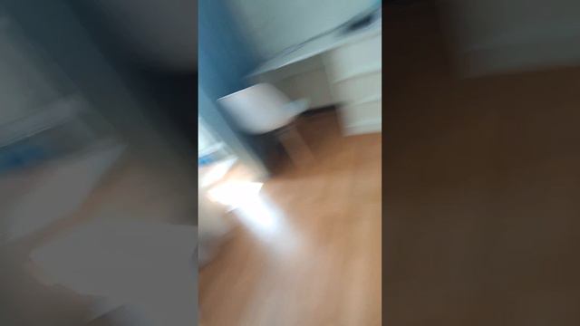 Влог с 4 реборнами Ева и Мира подрались 😱 истерика у Миры 😮💨