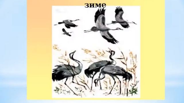 Онлайн-экскурс "В сказочном мире Соколова-Микитова И. С." смотреть онлайн
