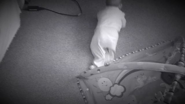 Малыш ползет вслед за игрушкой/ baby's adventure смотреть онлайн