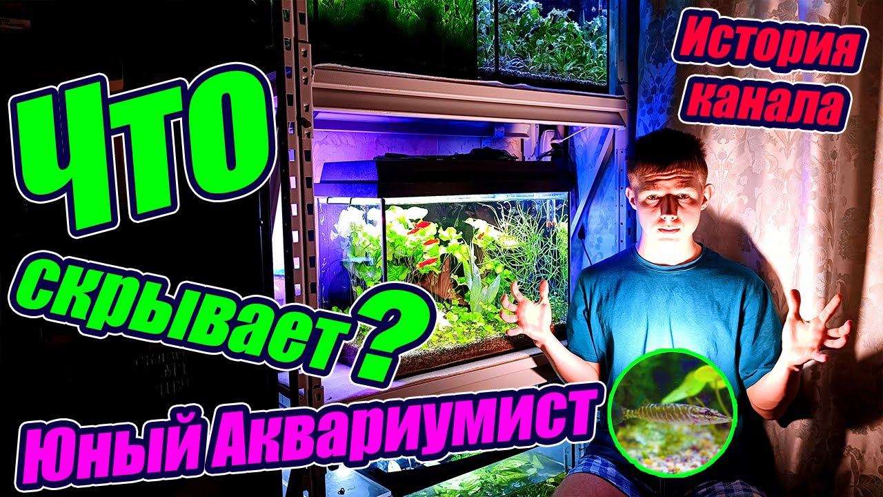 Тайны Юного Аквариумиста! История создания канала смотреть онлайн