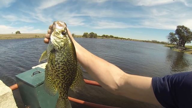 GIANT Black Crappie: Crappie Fishing Mix