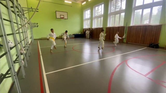 Честно от тренера! Сила или здоровье? Нужно ли драться с раннего детства? Карате или ММА? Родителям смотреть онлайн