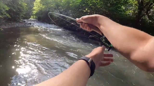 THE BEST FLY FISHING / TROUT FISHING VIDEO!! (Best of Compilation - 2022) смотреть онлайн