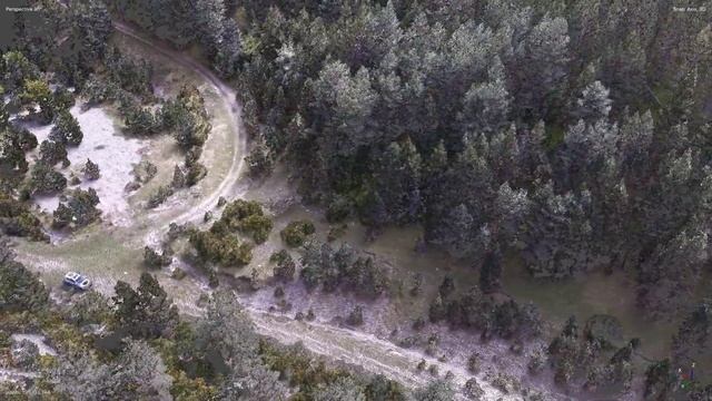 [Dense Cloud] Pinus uncinata - Pyrenees - Catalunya смотреть онлайн