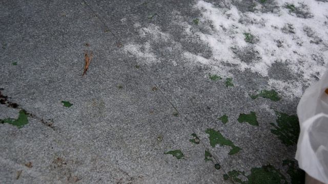 Как сохранить сушь, вощину и мёд в рамках зимой. (ВИДЕО) смотреть онлайн