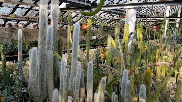 Харьковский ботанический сад или куда сходить в Харькове в свободное время смотреть онлайн