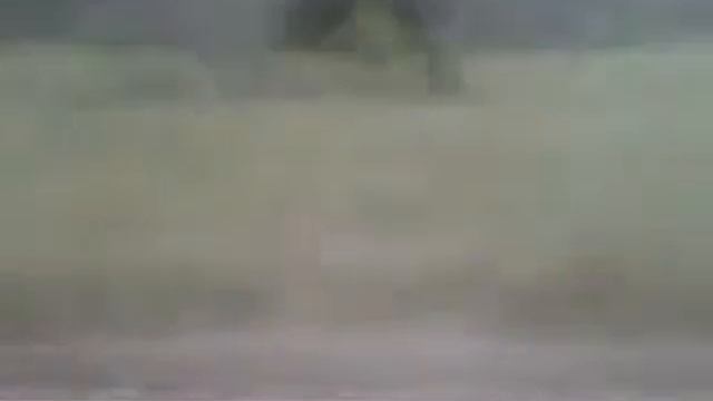 09.07.2016. Тюмень - Омск из окна поезда. смотреть онлайн