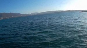 Рыбалка в Геленджике на прямом!!!