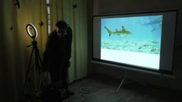 Заключительная лекция по палеонтологии Ивановской области | Александр Ипатов смотреть онлайн