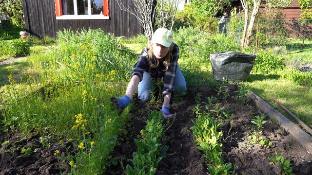 Viel zu tun im Kleingarten смотреть онлайн