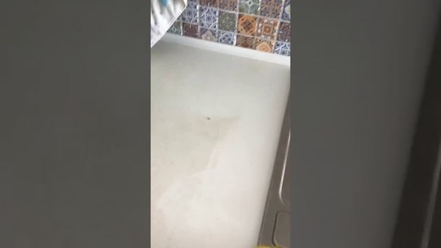 Чем отмыть столешницу ? Forest clean Антижир смотреть онлайн