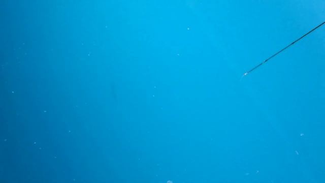 Воблер BassDay Mogul Minnow 130SP!!! смотреть онлайн