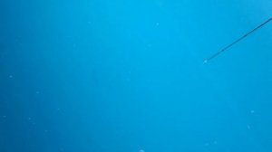 Воблер BassDay Mogul Minnow 130SP!!!