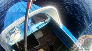 Вечерний выезд на спиннинг на Ладоге (залив Ууксунлахти), щука, судак.