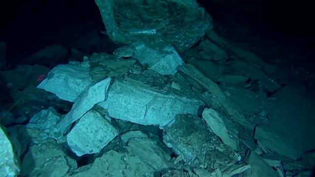 THE AUSTRIAN TEAM IN ORDA смотреть онлайн