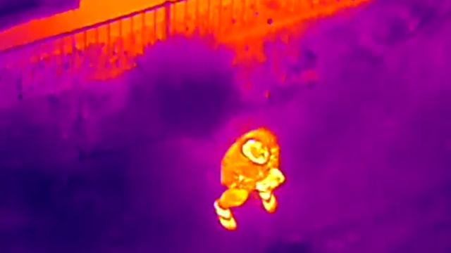 DJI H20N thermal zoom sample with DJI Matrice 300 RTK смотреть онлайн