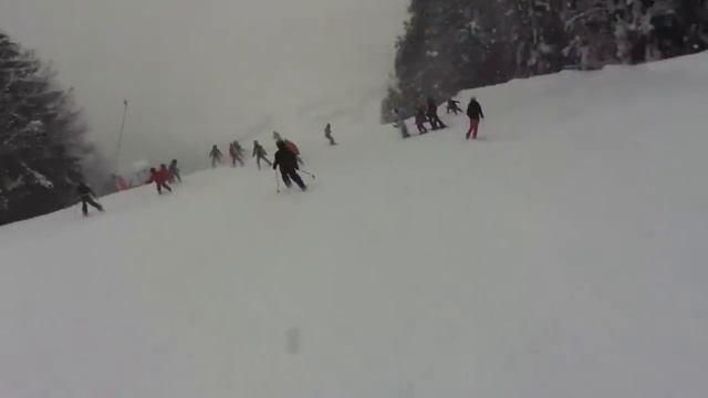 SV-DJK Taufkirchen смотреть онлайн