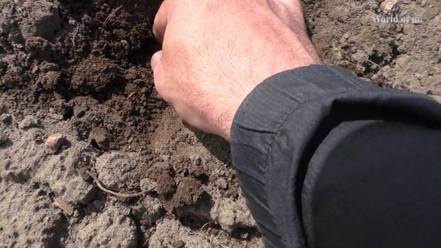 Находки у старой речной кладки.