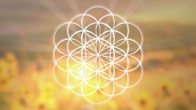 Flower of Life - Golden Field смотреть онлайн