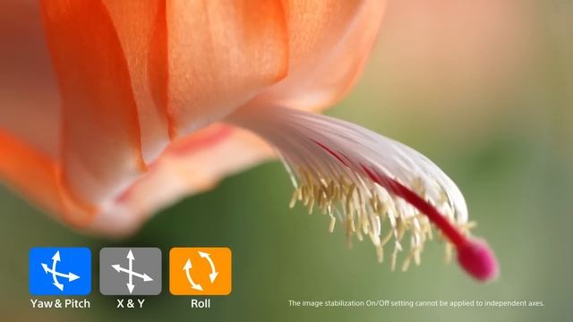 Sony Alpha 7 II: 5-axis Image Stabilisation
