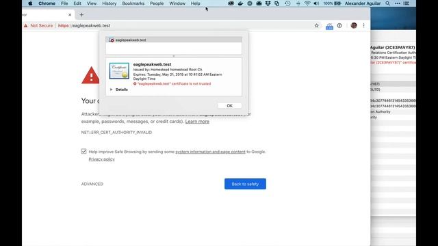 How to setup SSL / TLS / HTTPS on Laravel Homestead - Chrome / macOS смотреть онлайн