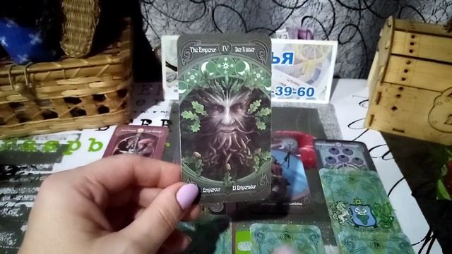 карта дня на 23 ноября 2023 года смотреть онлайн