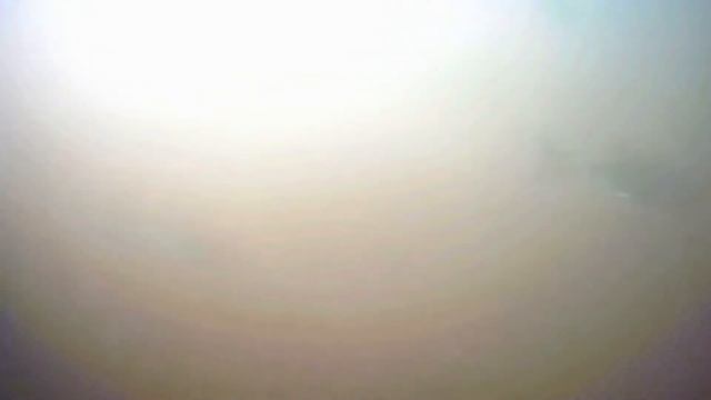 Поведение рыбы в июне с повышением мутности воды смотреть онлайн