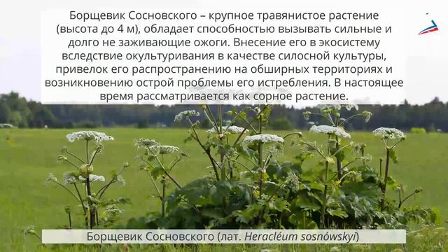 Антропогенное влияние на биосферу смотреть онлайн