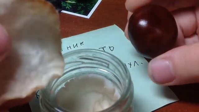 Опыт с каштаном смотреть онлайн