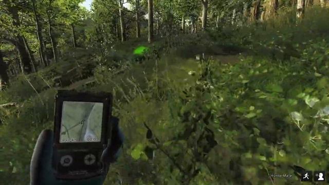 Олень Рузвельта / theHunter-Classic смотреть онлайн