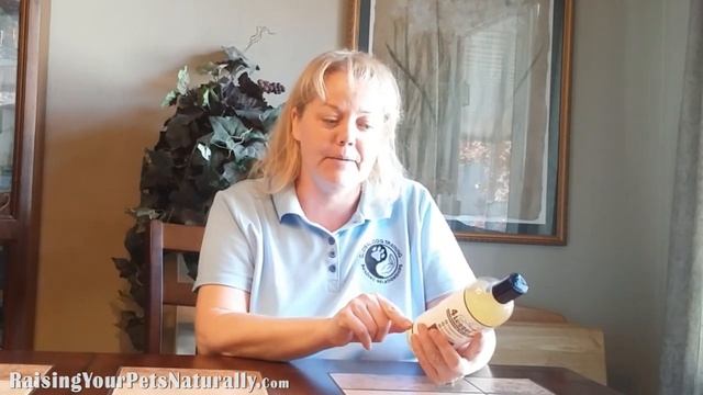 Natural Dog Shampoo Review: 4-Legger Conditioning Shampoo | Organic Dog Shampoo for Cavaliers смотреть онлайн