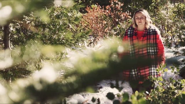 Різдвяна Мрія - Алла і Сергій Манчик смотреть онлайн