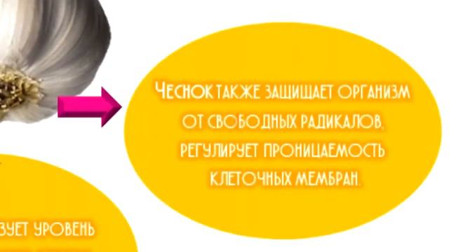 Чеснок. Красота, здоровье, ЗОЖ, долголетие с Coral Club. смотреть онлайн