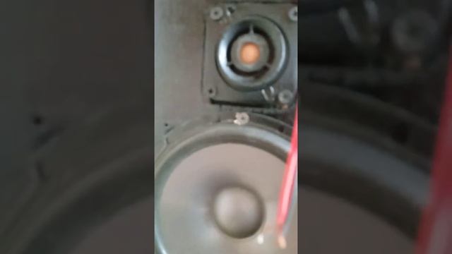 Фон усилителя sunbuck для службы поддержки. смотреть онлайн