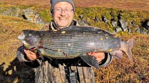 Хариусы - гиганты! Рыбалка на Крайнем Севере | C полем!