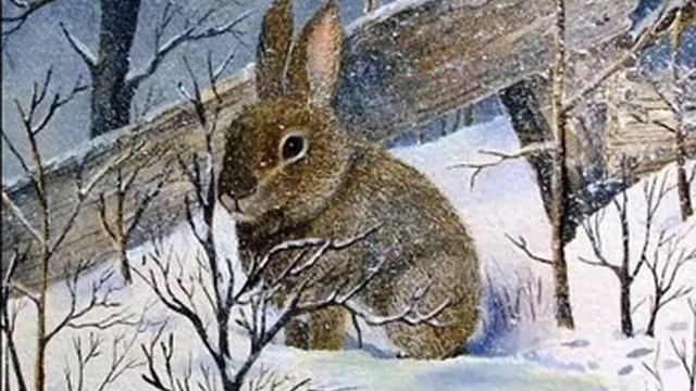 встреча с зимой смотреть онлайн