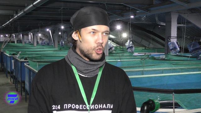 Участники демонстрируют свои профессиональные качества, чему успели научиться у опытных педагогов. смотреть онлайн